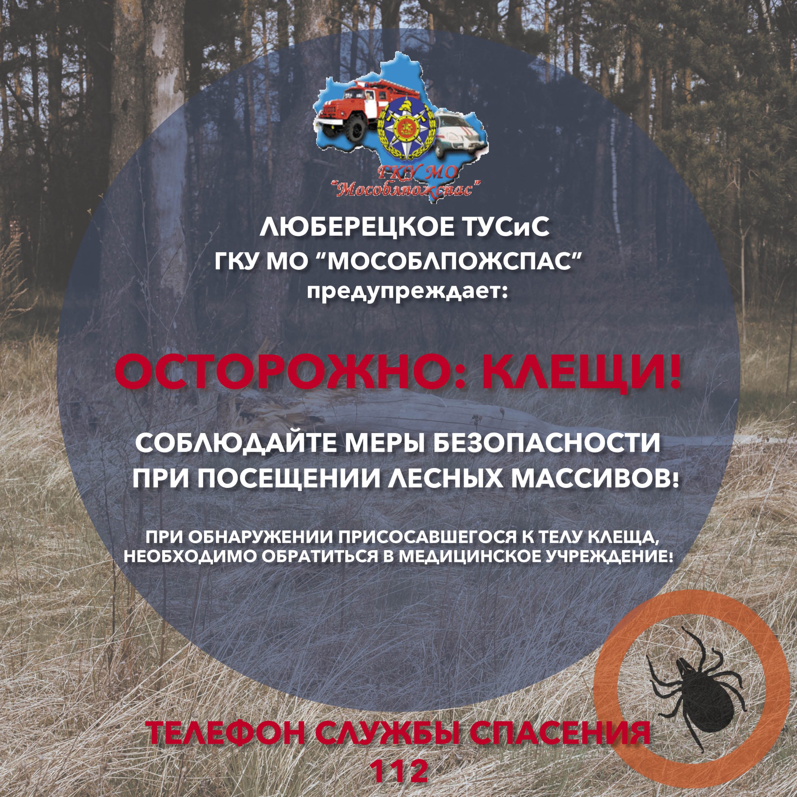 Мособлпожспас предупреждает, лучшая защита от клещей – это соблюдение  техники безопасности / Новости / Официальный сайт городского округа  Лыткарино